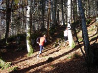 LOM - Championnat de course d